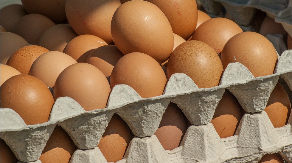Crate of eggs